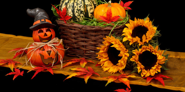 Bild: Herbstdeko mit Kürbis