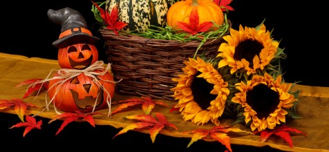 Bild: Herbstdeko mit Kürbis